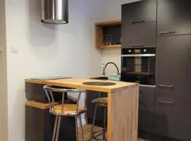Apartament Szary na Starówce