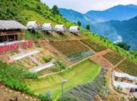 Mây Homestay - Venuestay