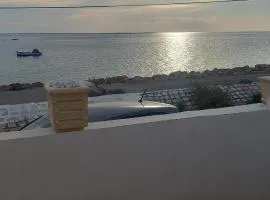 Maison 2 terrasses au bord de mer