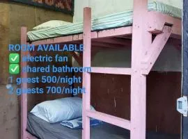 sharkbunkbed siargao