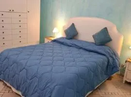 Le chat bleu