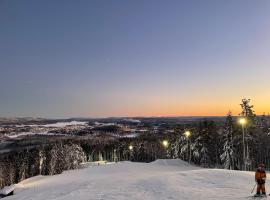 Nice ski in ski out cabin, котедж у місті Болльнес