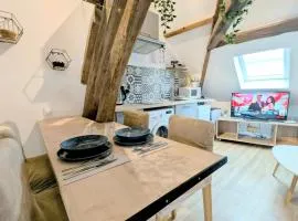 Cocon Centre ville Auxerre Cosy