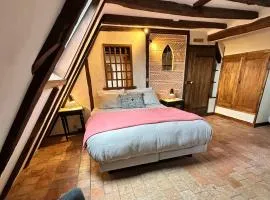 Le Petit Tinténiac - T2 cosy au cœur de la Doutre