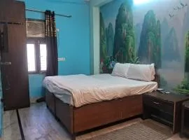 Hotel Eco Green Near Anand Vihar