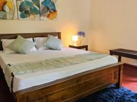 Rosa Villa Colonial Homestay