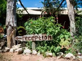 Nxabii Cottages、カサネのコテージ