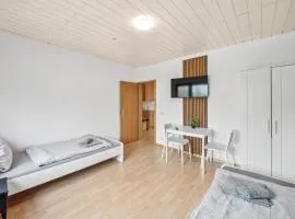 GÜNSTIGE Wohnungen für Monteure in Hanau City Smart TV, Wifi, Parking NEW