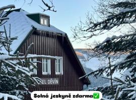 Hotel Děvín, hotel v destinaci Pec pod Sněžkou