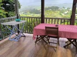 Studio moderne avec terrasse à Le Robert 60 m²