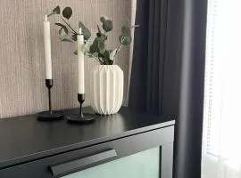 Vienibas apartment