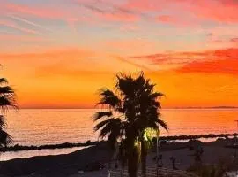 Monaco Horizon