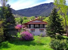 Villa Arcadia