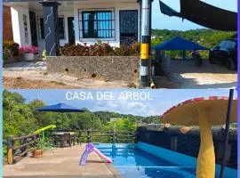 Parcela - Casa del árbol