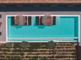Aora Villa Ftelia Beach Mykonos
