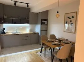 Apartment N02