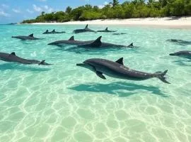 Abricotier à proximité des plages du sud