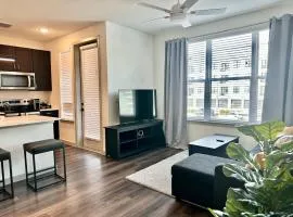 Cozy apartment near downtown HTX