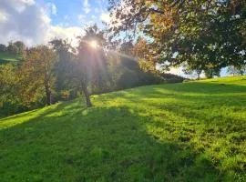 Barn-Nature Höllhof Adventure with panoramic view outdoor -near Lucerne