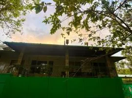 Green Home