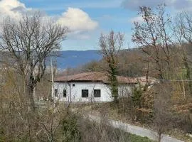 Lo Specchio di Alice