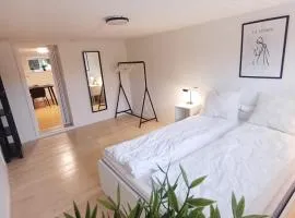 Central Apartment In Aalborg Close To Hospital