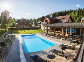 Chalet Schäfer s vyhřívaným bazénem se slanou vodou