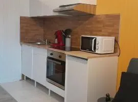 Au Bon oranger, Appartement en coeur de ville hyper centre