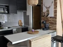 Appartements au cœur de la station de ski "La Foux D'allos"