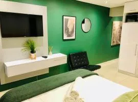 Modern Apartment in Mouille Point with Green Point Park Access