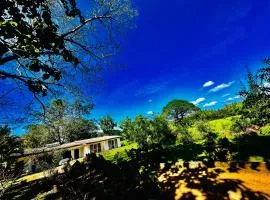 Golden Mount Hotel