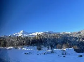 La Suite Unique - Le jardin sur les Pyrénées- vue panoramique montagne -jardin clôturé privé de 100m2-Parking-Linge de lit et serviettes compris-