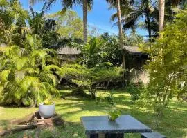 Dinu Villa