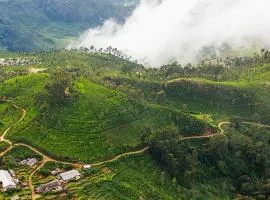Eco resort