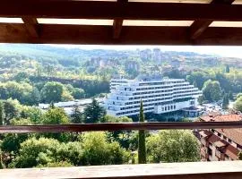 Apartment Park View