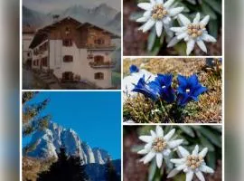 DOLOMITI Ferienwohnung, Appartamento vacanze.