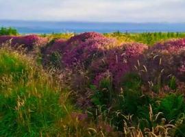 Heather Cottage Doolin, vila v destinaci Doolin