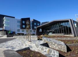 Holiday Inn Express & Suites Queenstown by IHG, Holiday Inn hotel in Queenstown