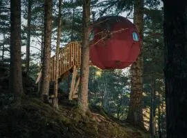 the tree tent highland hangout