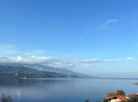 Blue Chameleon Seaview Maisonette