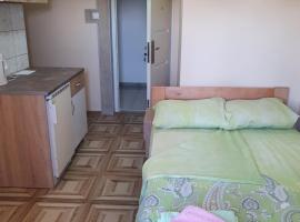 Double Lux Aparrment A1 in Pancevo, hotel i Pančevo