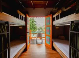 Isla de pascua - Jardín - Hostel