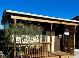 The Olive Tree Shed