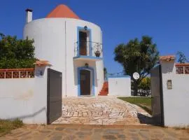 Ehemalige Windmühle Mit Garten Und Privatem Pool