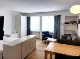 Ski IN&OUT Studio 50m to Gondel&Slopes incl parking