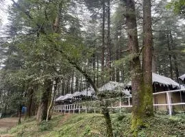 Himtrek Camps Mcleodganj