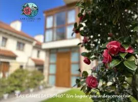 "LAS CAMELIAS SOMO" un lugar para desconectar!! Vistas al MAR!!