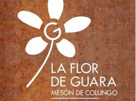 Mesón de Colungo