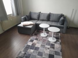 2 Raum Wohnung in der Nähe des August Horch Museum, Hotel in Zwickau