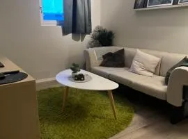 Bright and pleasant basement apartment near downtown, Lys og trivelig kjellerleilighet i sentrumsnært